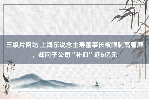 三级片网站 上海东说念主寿董事长被限制高奢靡，却向子公司“补血”近6亿元