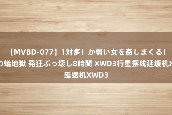 【MVBD-077】1対多！か弱い女を姦しまくる！輪姦の蟻地獄 発狂ぶっ壊し8時間 XWD3行星摆线延缓机XWD3