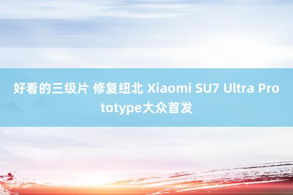 好看的三级片 修复纽北 Xiaomi SU7 Ultra Prototype大众首发