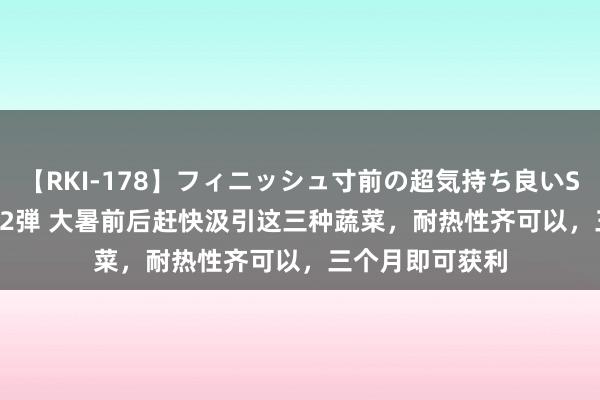 【RKI-178】フィニッシュ寸前の超気持ち良いSEX 307連発 第2弾 大暑前后赶快汲引这三种蔬菜，耐热性齐可以，三个月即可获利