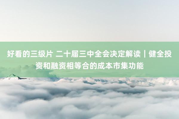 好看的三级片 二十届三中全会决定解读｜健全投资和融资相等合的成本市集功能