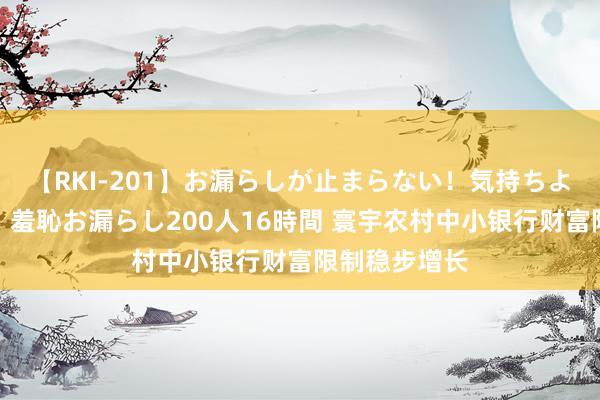 【RKI-201】お漏らしが止まらない！気持ちよすぎる失禁・羞恥お漏らし200人16時間 寰宇农村中小银行财富限制稳步增长