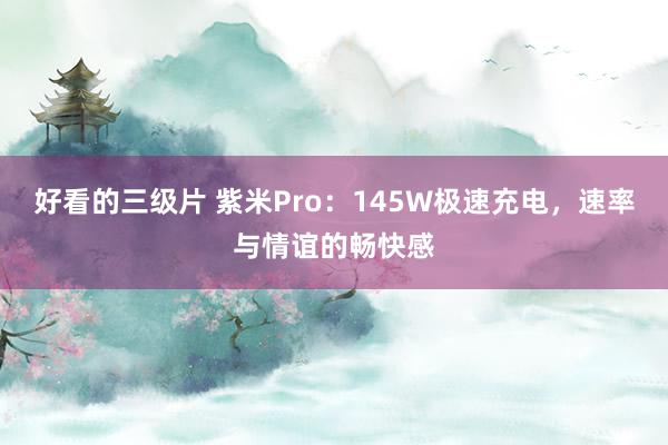 好看的三级片 紫米Pro：145W极速充电，速率与情谊的畅快感