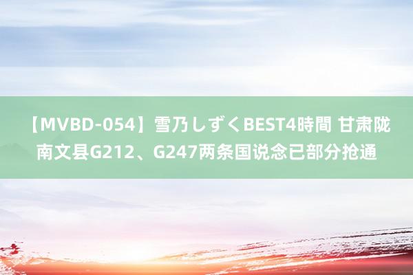 【MVBD-054】雪乃しずくBEST4時間 甘肃陇南文县G212、G247两条国说念已部分抢通