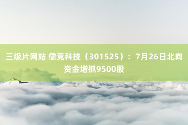 三级片网站 儒竞科技（301525）：7月26日北向资金增抓9500股