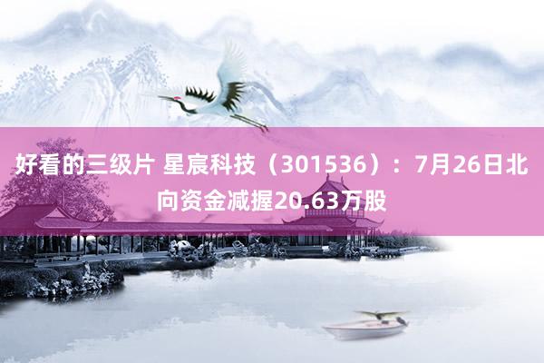 好看的三级片 星宸科技（301536）：7月26日北向资金减握20.63万股