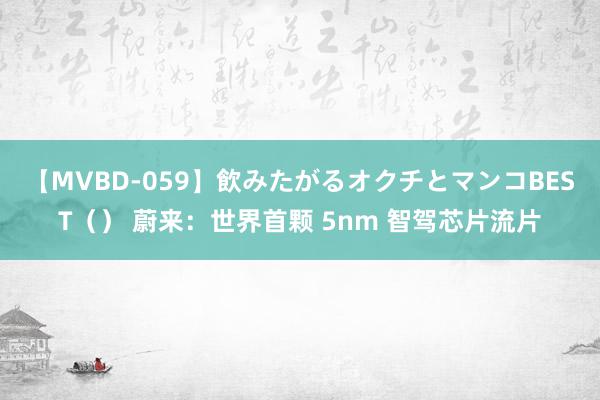 【MVBD-059】飲みたがるオクチとマンコBEST（） 蔚来：世界首颗 5nm 智驾芯片流片