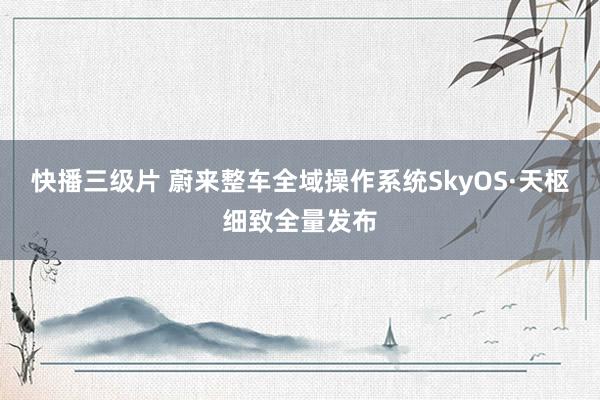 快播三级片 蔚来整车全域操作系统SkyOS·天枢细致全量发布