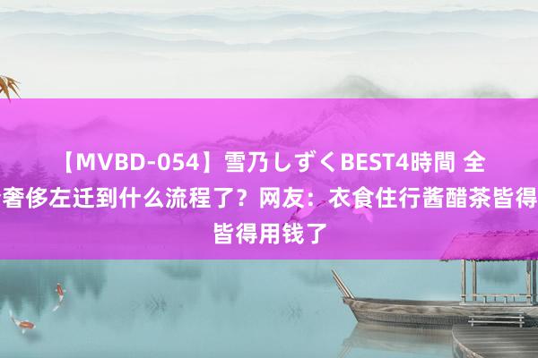 【MVBD-054】雪乃しずくBEST4時間 全球当今奢侈左迁到什么流程了？网友：衣食住行酱醋茶皆得用钱了