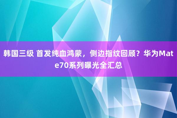 韩国三级 首发纯血鸿蒙，侧边指纹回顾？华为Mate70系列曝光全汇总