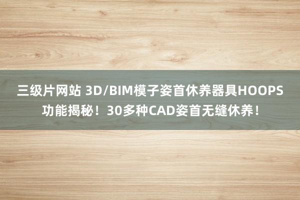 三级片网站 3D/BIM模子姿首休养器具HOOPS功能揭秘！30多种CAD姿首无缝休养！