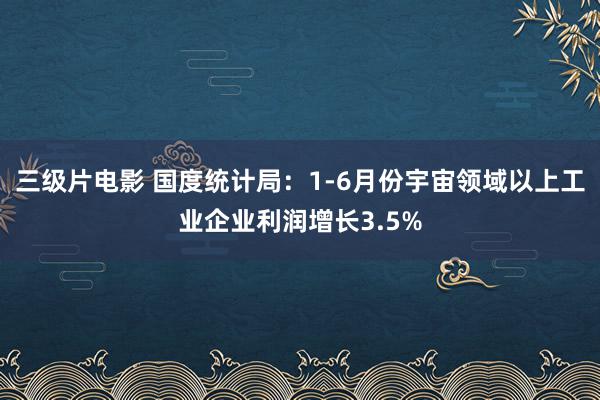 三级片电影 国度统计局：1-6月份宇宙领域以上工业企业利润增长3.5%