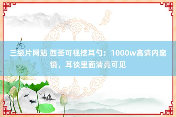 三级片网站 西圣可视挖耳勺：1000w高清内窥镜，耳谈里面清亮可见