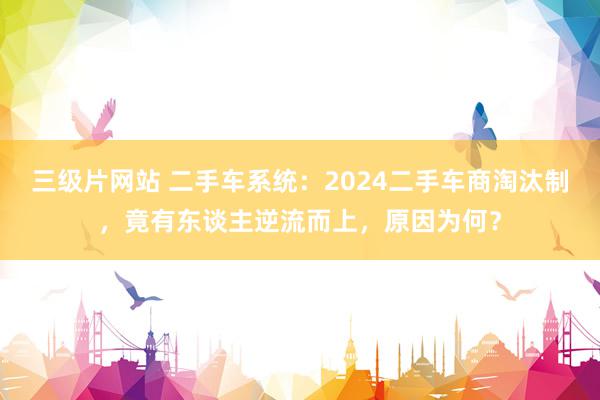 三级片网站 二手车系统：2024二手车商淘汰制，竟有东谈主逆流而上，原因为何？