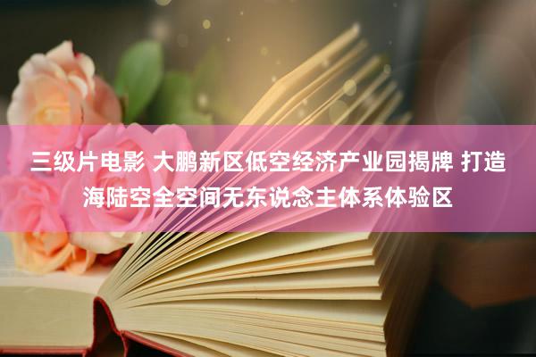 三级片电影 大鹏新区低空经济产业园揭牌 打造海陆空全空间无东说念主体系体验区