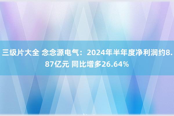 三级片大全 念念源电气：2024年半年度净利润约8.87亿元 同比增多26.64%