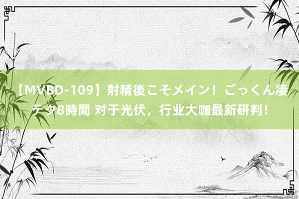 【MVBD-109】射精後こそメイン！ごっくん凄テク8時間 对于光伏，行业大咖最新研判！