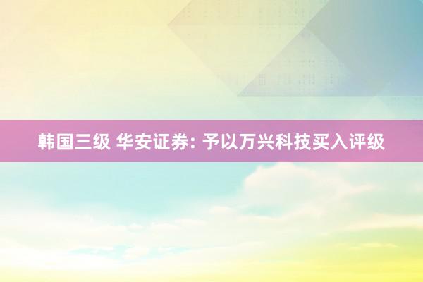 韩国三级 华安证券: 予以万兴科技买入评级