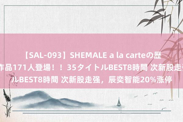 【SAL-093】SHEMALE a la carteの歴史 2008～2011 国内作品171人登場！！35タイトルBEST8時間 次新股走强，辰奕智能20%涨停