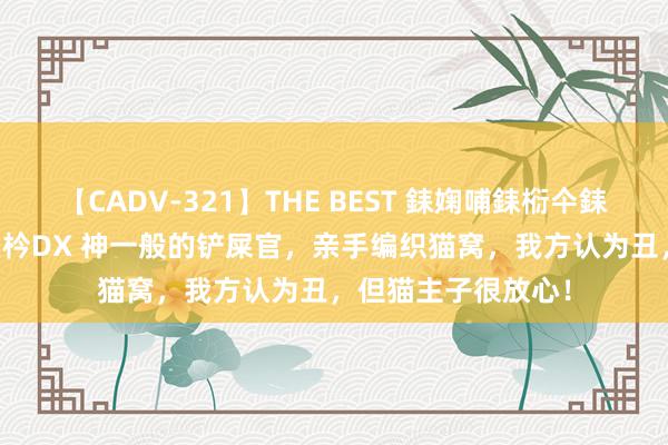 【CADV-321】THE BEST 銇婅哺銇椼仐銇俱仚銆?50浜?鏅傞枔DX 神一般的铲屎官，亲手编织猫窝，我方认为丑，但猫主子很放心！