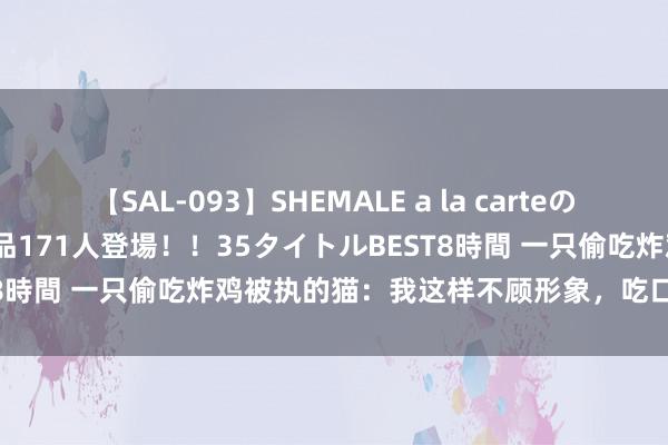 【SAL-093】SHEMALE a la carteの歴史 2008～2011 国内作品171人登場！！35タイトルBEST8時間 一只偷吃炸鸡被执的猫：我这样不顾形象，吃口肉齐不行吗？