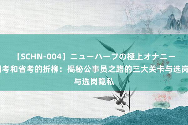 【SCHN-004】ニューハーフの極上オナニー ​国考和省考的折柳：揭秘公事员之路的三大关卡与选岗隐私