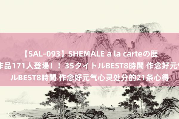 【SAL-093】SHEMALE a la carteの歴史 2008～2011 国内作品171人登場！！35タイトルBEST8時間 作念好元气心灵处分的21条心得