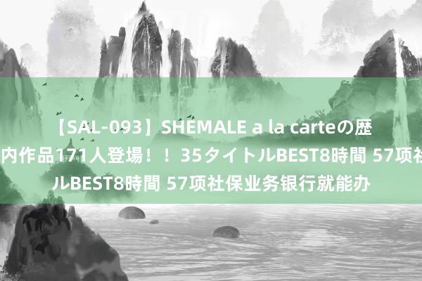 【SAL-093】SHEMALE a la carteの歴史 2008～2011 国内作品171人登場！！35タイトルBEST8時間 57项社保业务银行就能办