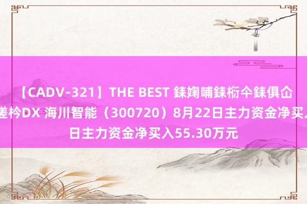 【CADV-321】THE BEST 銇婅哺銇椼仐銇俱仚銆?50浜?鏅傞枔DX 海川智能（300720）8月22日主力资金净买入55.30万元