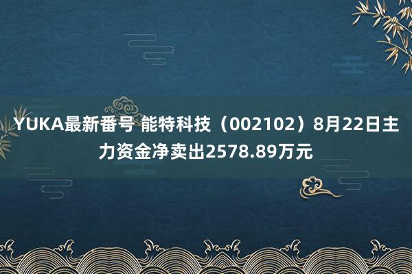 YUKA最新番号 能特科技（002102）8月22日主力资金净卖出2578.89万元