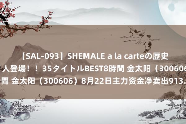 【SAL-093】SHEMALE a la carteの歴史 2008～2011 国内作品171人登場！！35タイトルBEST8時間 金太阳（300606）8月22日主力资金净卖出913.08万元