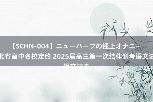 【SCHN-004】ニューハーフの極上オナニー 湖北省高中名校定约 2025届高三第一次结伴测考语文试卷