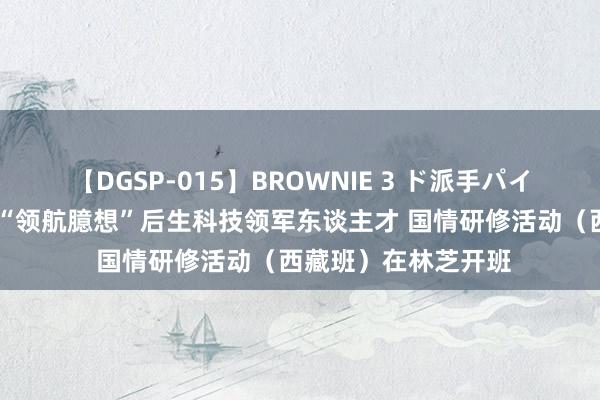 【DGSP-015】BROWNIE 3 ド派手パイパン強め黒ギャル “领航臆想”后生科技领军东谈主才 国情研修活动（西藏班）在林芝开班